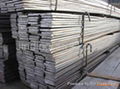 carbon steel Flat Bar