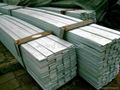 carbon steel Flat Bar