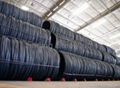 high quality  steel wire rod coil