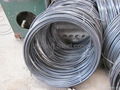 competitive price of wire rod from China