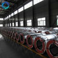 prepainted galvanized steel coil