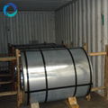 hot dipped galvanized steel coils