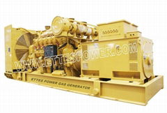 Biomass/Syngas Generator Set (20kw