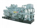 PERKINS Natural Gas Generator (300kw