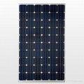 250w mono-crystalline solar module  1