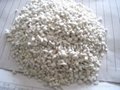 expanded perlite big size for garden and horticulture 2