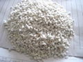 expanded perlite big size for garden and horticulture