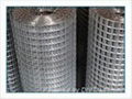 SS welded wire mesh 1