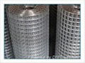 SS welded wire mesh