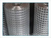 SS welded wire mesh