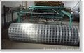 SS welded wire mesh 2
