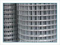 SS welded wire mesh 3