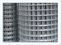 SS welded wire mesh