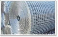 SS welded wire mesh 4