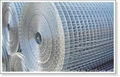 SS welded wire mesh