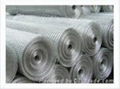SS welded wire mesh 5