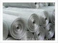 SS welded wire mesh