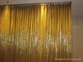 SS Decorative wire mesh