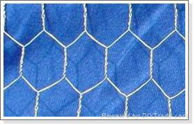 SS hexagonal wire mesh 2