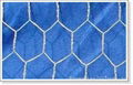 SS hexagonal wire mesh 2