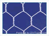 SS hexagonal wire mesh 3