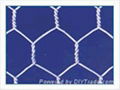 SS hexagonal wire mesh 3