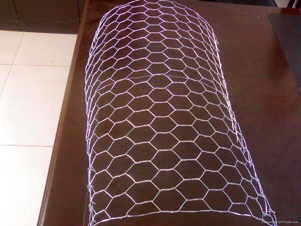 SS hexagonal wire mesh 4
