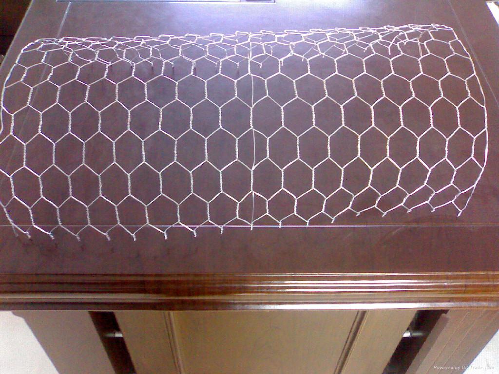 SS hexagonal wire mesh 5