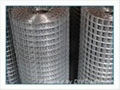 galvanized welded wire mesh