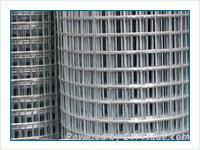 galvanized welded wire mesh 3