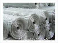 galvanized welded wire mesh 5