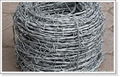 razor barbed mesh fencing