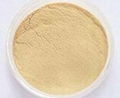 Ginseng Extract Powder  1