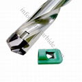 head exchangeable drills-replaceable tip