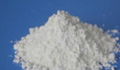 99.9% Tellurium Dioxide Powder  1