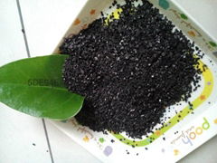 High quality coconut shell activated carbon