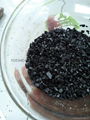 High quality coconut shell activated carbon  6