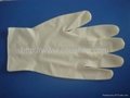 Powder free Examine gloves