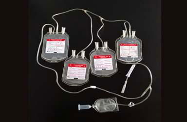 Quadruple blood bag 