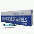 Disposable Surgical Scalpel