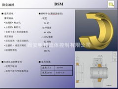 防尘油封-WIPER SEALS