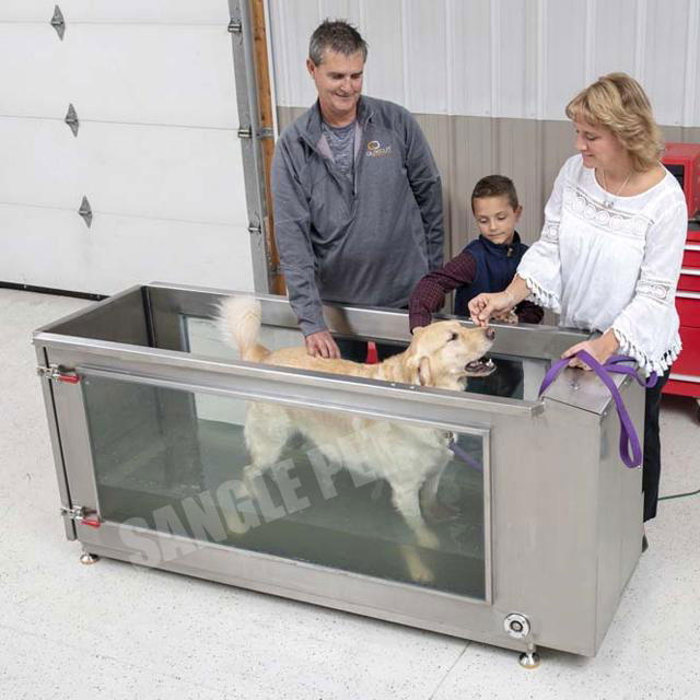 Canine Underwater Treadmill China Factory