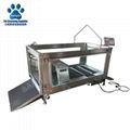 Canine Hydrotherapy Water Treadmill Multifunctional 3