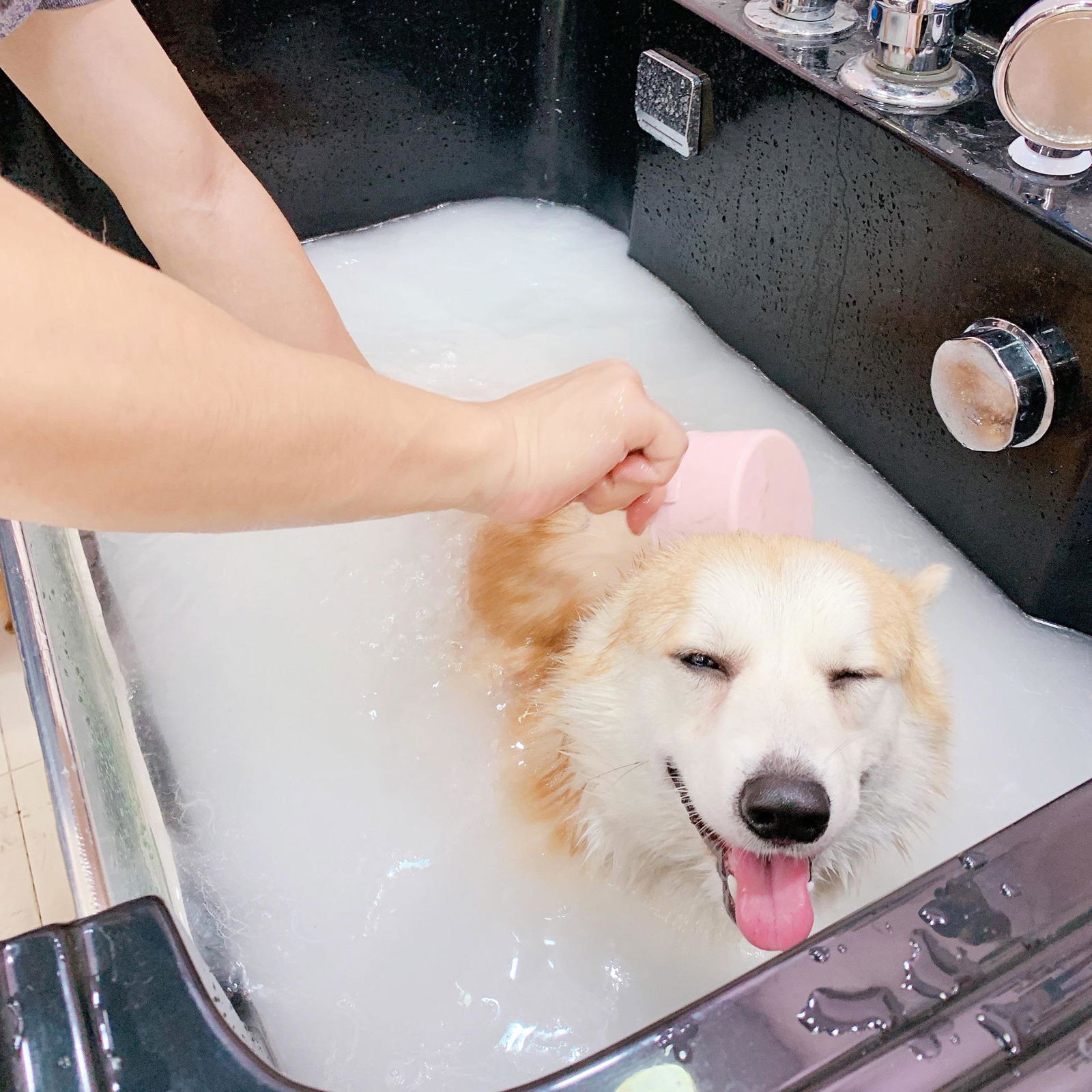 Microbubble Spa Tub for pet wash 2