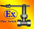 GE-316 Inline Paddle Flow Switch _ Anti