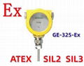 ATEX Calorimetric Flow Switches 1