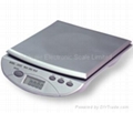 Model CS-95 Electronic Postal Scale