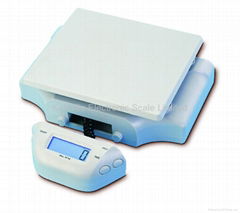 Model CS-A2 Electronic Postal Scale