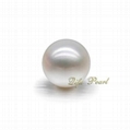 5.5-6mm AA Round Half-drill Freshwater Loose Pearl   3