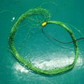 green EL silver wire string light  2